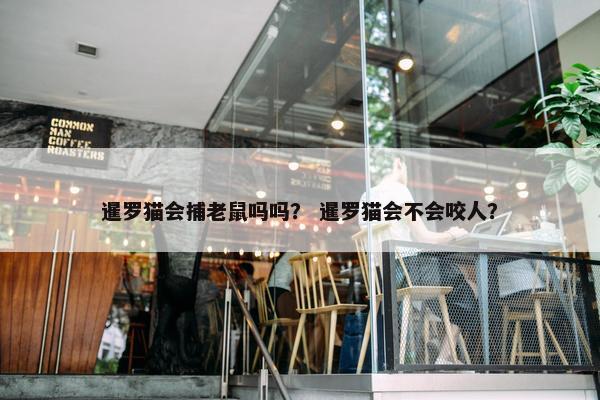 暹罗猫会捕老鼠吗吗？ 暹罗猫会不会咬人？
