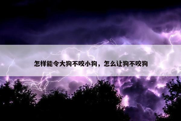 怎样能令大狗不咬小狗，怎么让狗不咬狗