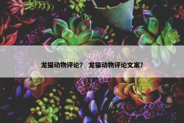 龙猫动物评论？ 龙猫动物评论文案？