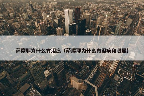 萨摩耶为什么有泪痕（萨摩耶为什么有泪痕和眼屎）