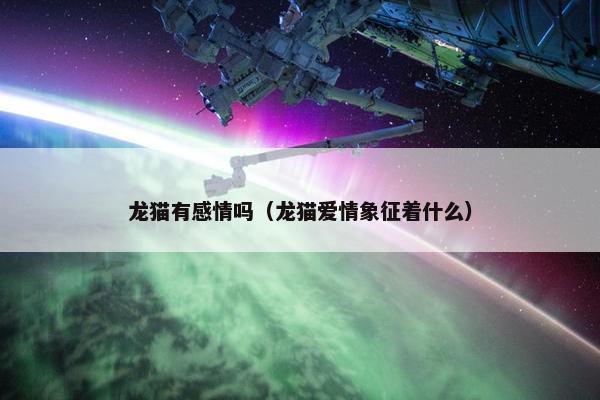 龙猫有感情吗（龙猫爱情象征着什么）