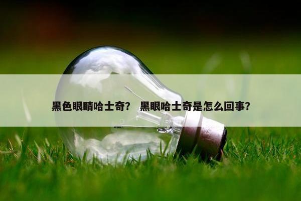 黑色眼睛哈士奇？ 黑眼哈士奇是怎么回事？