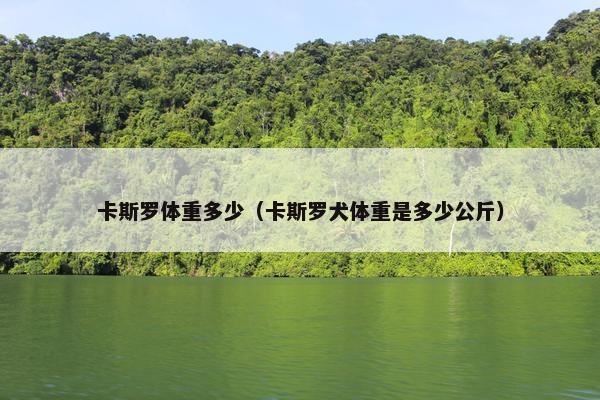 卡斯罗体重多少（卡斯罗犬体重是多少公斤）