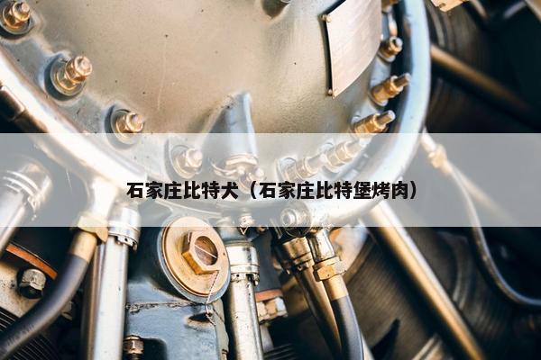 石家庄比特犬（石家庄比特堡烤肉）