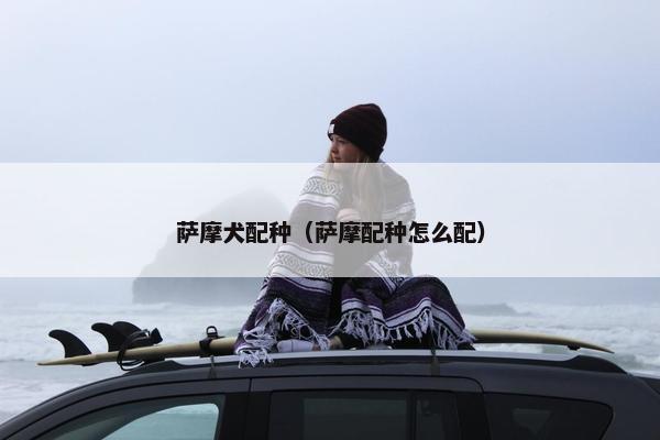 萨摩犬配种（萨摩配种怎么配）