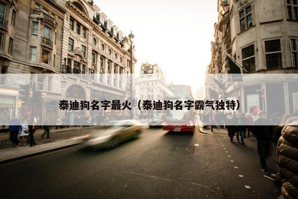 泰迪狗名字最火（泰迪狗名字霸气独特）