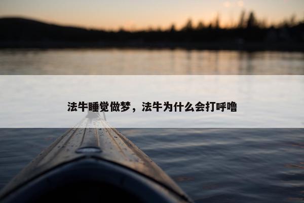 法牛睡觉做梦，法牛为什么会打呼噜
