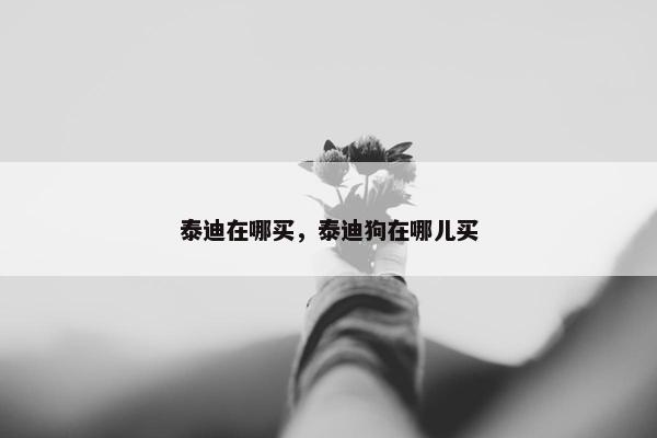 泰迪在哪买，泰迪狗在哪儿买