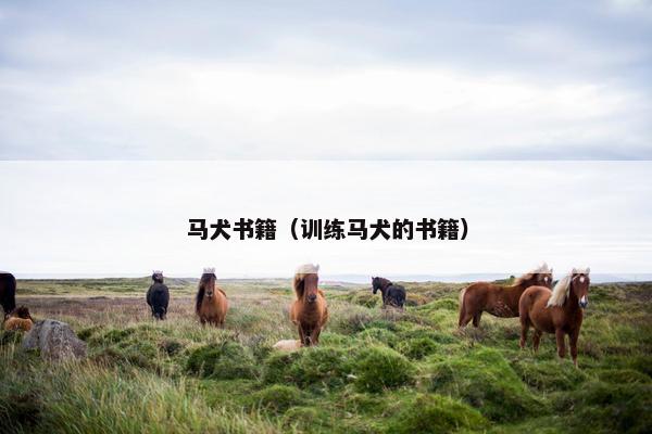 马犬书籍（训练马犬的书籍）