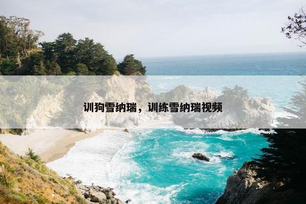 训狗雪纳瑞，训练雪纳瑞视频
