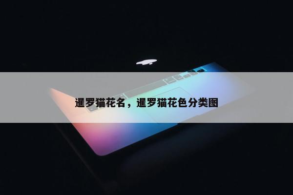 暹罗猫花名，暹罗猫花色分类图