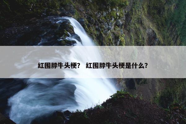 红围脖牛头梗？ 红围脖牛头梗是什么？