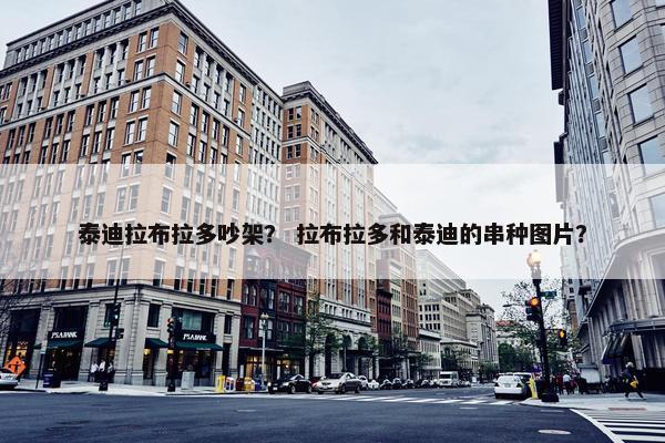 泰迪拉布拉多吵架？ 拉布拉多和泰迪的串种图片？