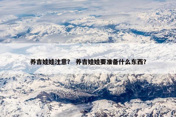 养吉娃娃注意？ 养吉娃娃要准备什么东西？
