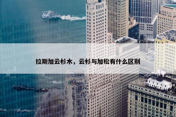拉斯加云杉木，云杉与加松有什么区别