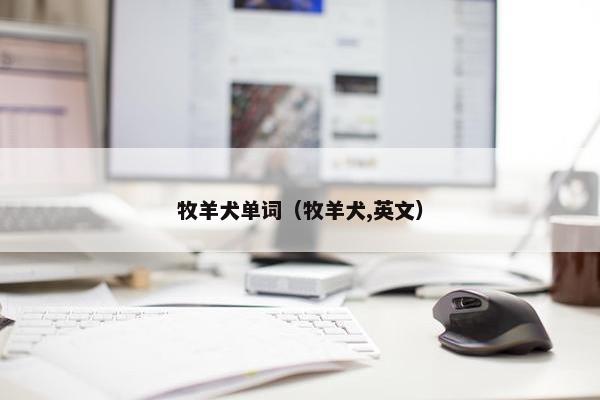 牧羊犬单词（牧羊犬,英文）