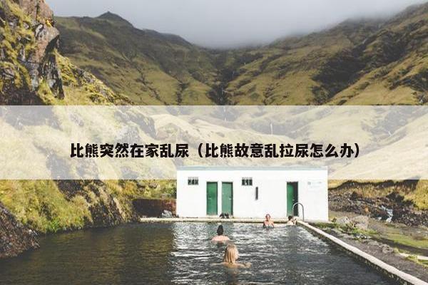 比熊突然在家乱尿（比熊故意乱拉尿怎么办）