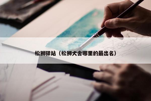 松狮驿站（松狮犬舍哪里的最出名）