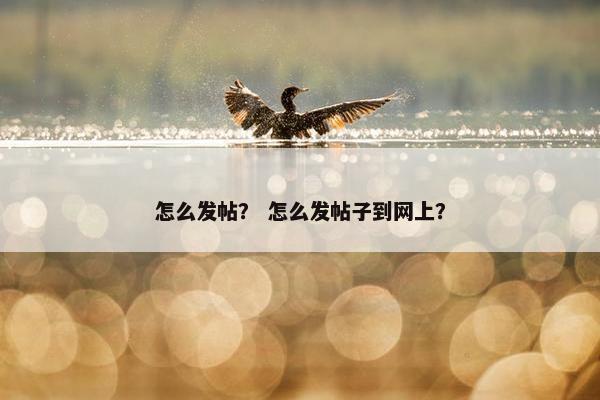 怎么发帖？ 怎么发帖子到网上？