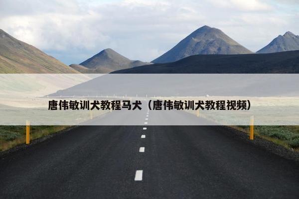 唐伟敏训犬教程马犬（唐伟敏训犬教程视频）