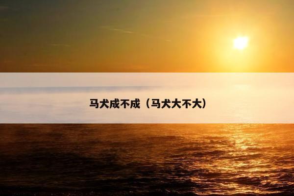 马犬成不成（马犬大不大）