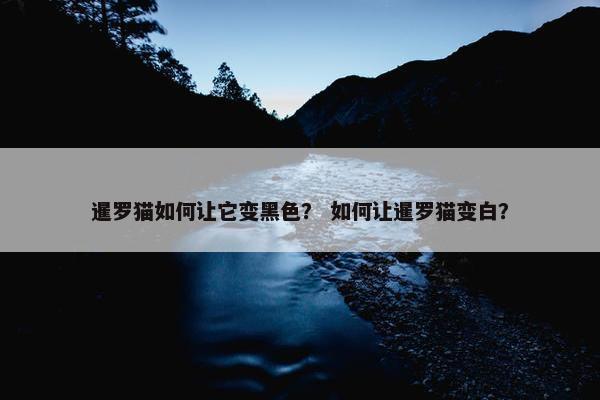 暹罗猫如何让它变黑色？ 如何让暹罗猫变白？