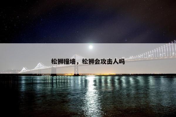 松狮撞墙，松狮会攻击人吗