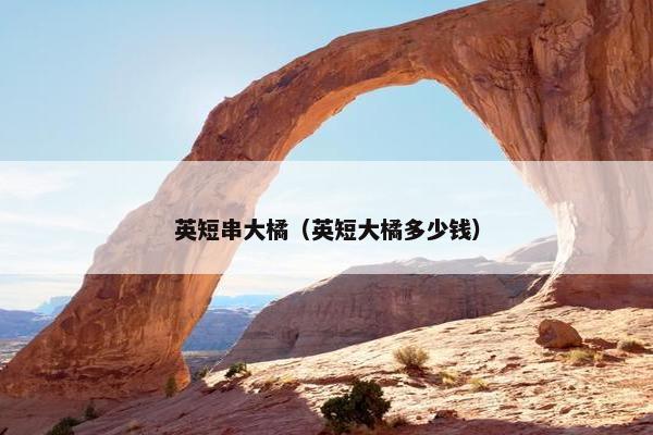 英短串大橘（英短大橘多少钱）