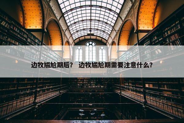 边牧尴尬期后？ 边牧尴尬期需要注意什么？