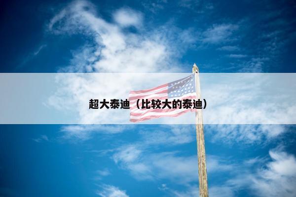 超大泰迪（比较大的泰迪）