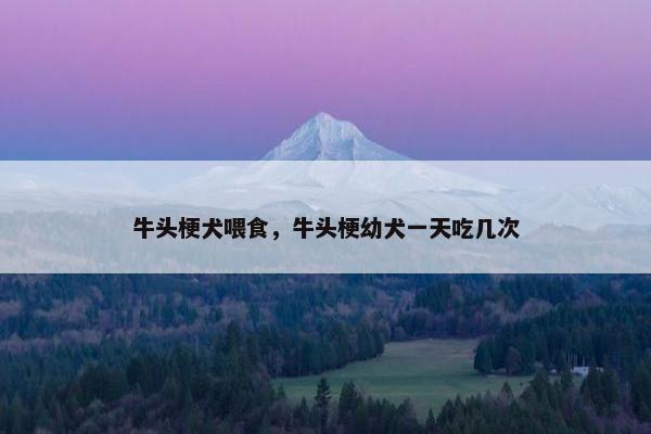 牛头梗犬喂食，牛头梗幼犬一天吃几次
