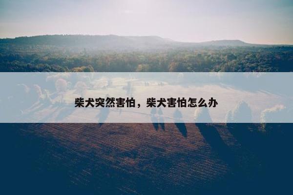 柴犬突然害怕，柴犬害怕怎么办
