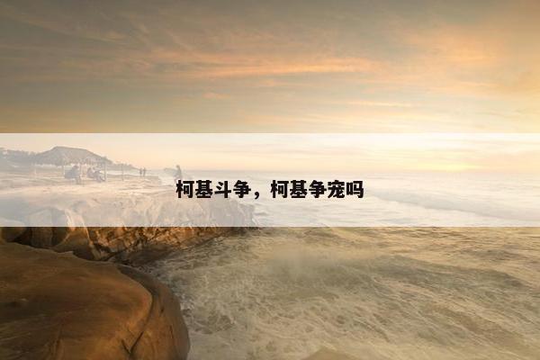 柯基斗争，柯基争宠吗
