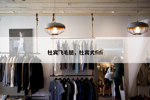 杜宾飞毛腿，杜宾犬fifi