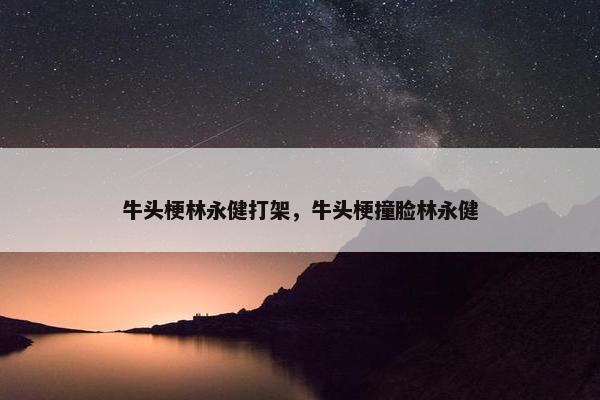 牛头梗林永健打架，牛头梗撞脸林永健