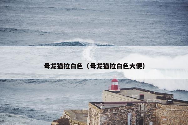 母龙猫拉白色（母龙猫拉白色大便）
