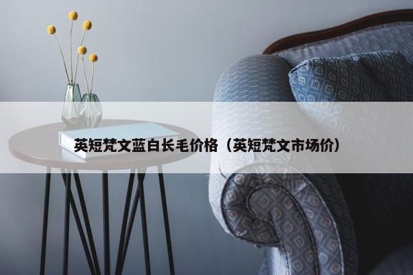 英短梵文蓝白长毛价格（英短梵文市场价）