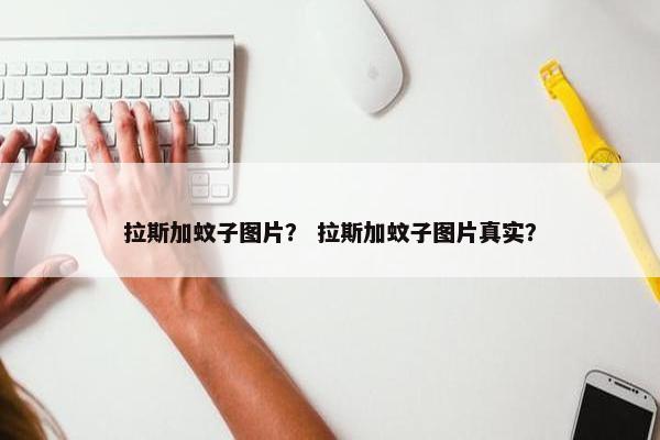 拉斯加蚊子图片？ 拉斯加蚊子图片真实？