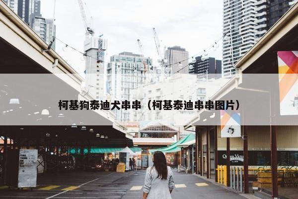 柯基狗泰迪犬串串（柯基泰迪串串图片）
