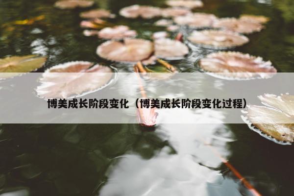 博美成长阶段变化（博美成长阶段变化过程）