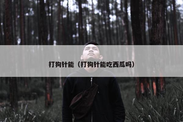 打狗针能（打狗针能吃西瓜吗）