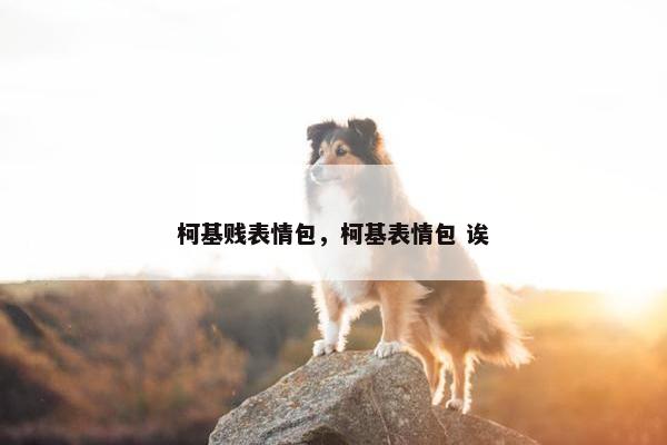 柯基贱表情包，柯基表情包 诶