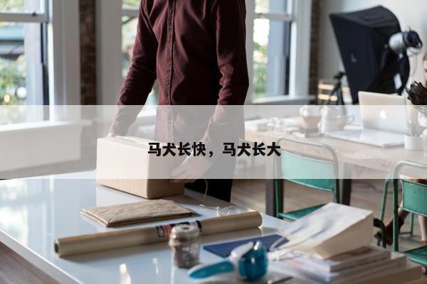 马犬长快，马犬长大
