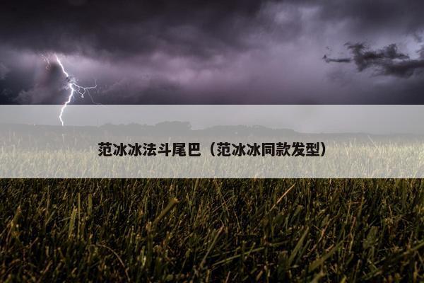 范冰冰法斗尾巴（范冰冰同款发型）
