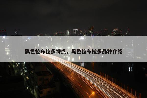 黑色拉布拉多特点，黑色拉布拉多品种介绍
