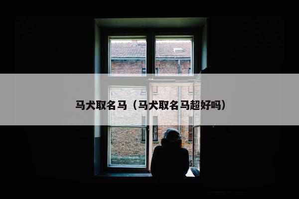 马犬取名马（马犬取名马超好吗）