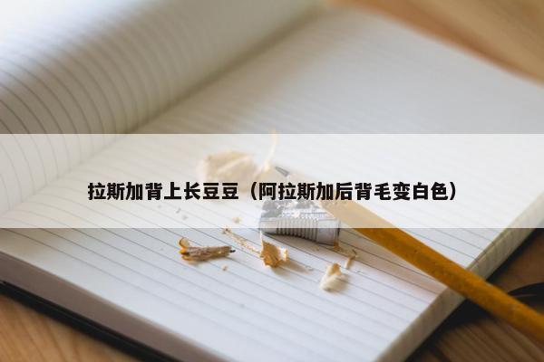拉斯加背上长豆豆（阿拉斯加后背毛变白色）
