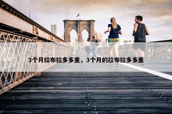 3个月拉布拉多多重，3个月的拉布拉多多重