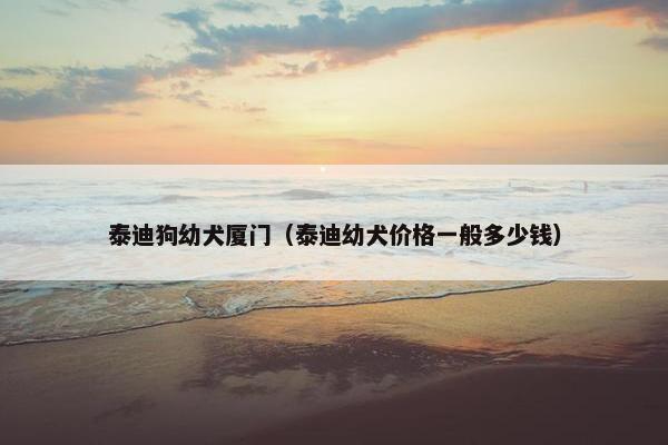 泰迪狗幼犬厦门（泰迪幼犬价格一般多少钱）