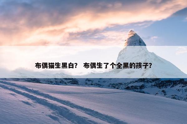 布偶猫生黑白？ 布偶生了个全黑的孩子？